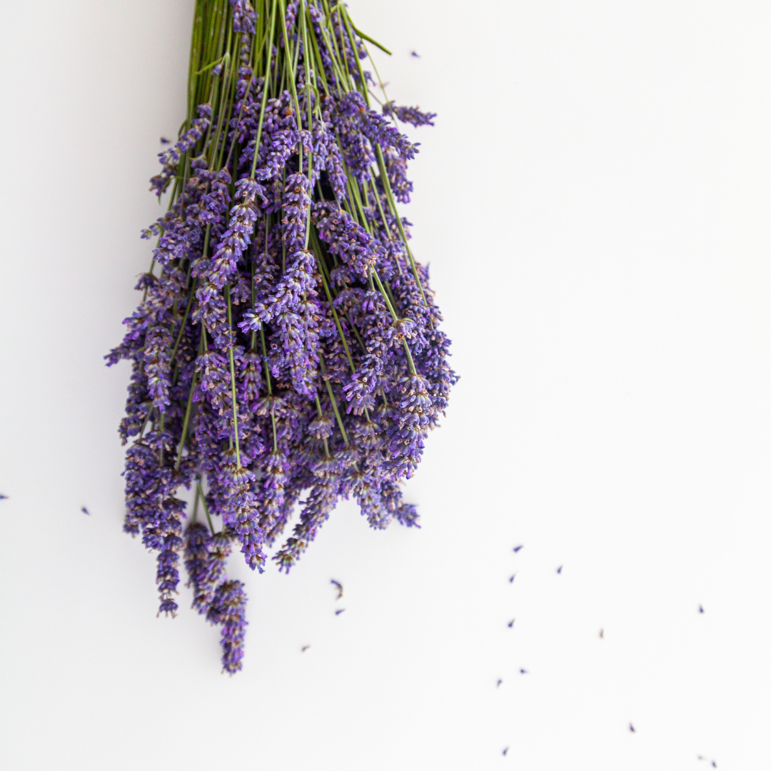 All about Lavender Essential Oil Green-Beauty Co